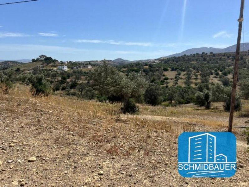 Pitsidia Kreta, Pitsidia: Grundstück am Ortsrand zu verkaufen Grundstück kaufen